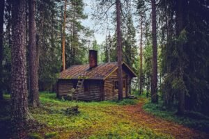 living a minimalist, simple life in a log cabin